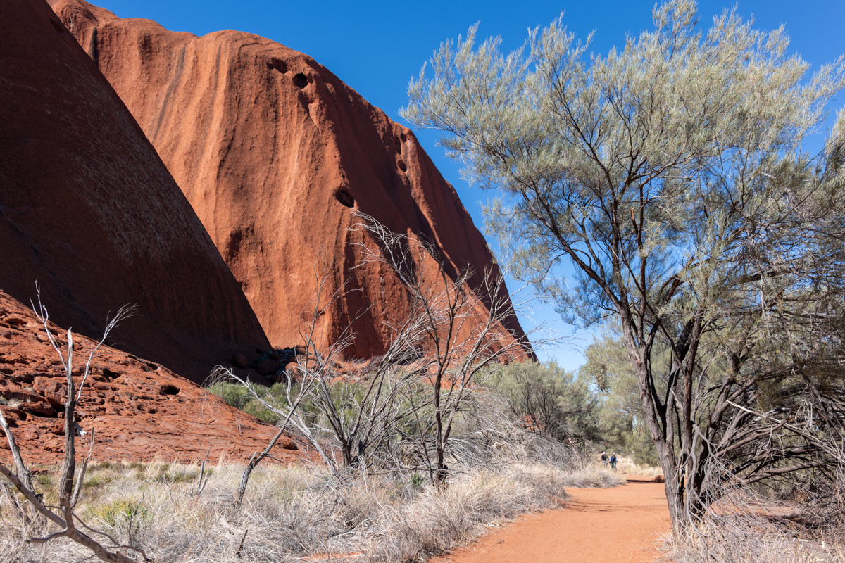 Wanderweg am Fuß des Uluru mit Vegetation