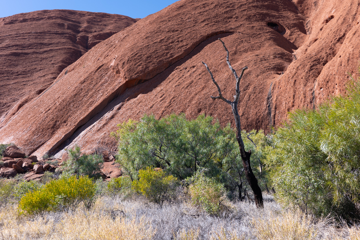 Nahaufnahme der wabenartigen Hohlformen am Uluru
